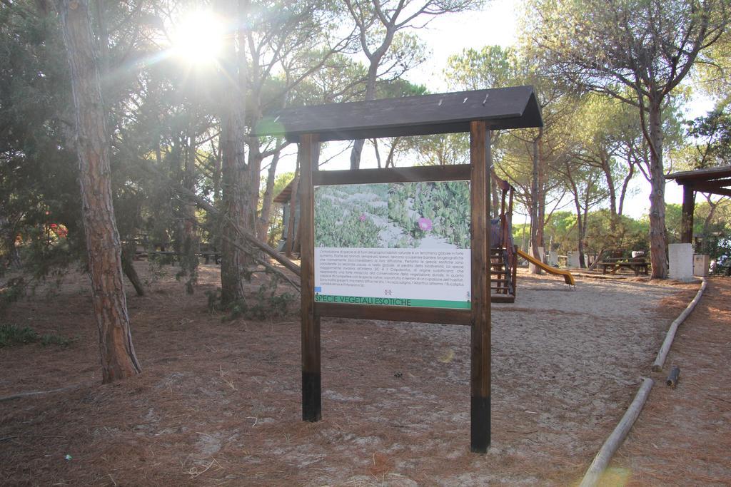 Agliado Platamona
